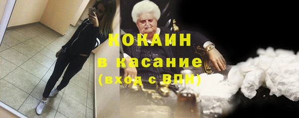 стафф Алексин