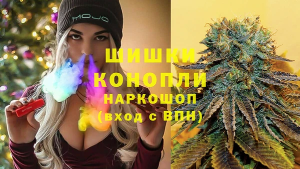 стафф Алексин