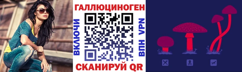 Галлюциногенные грибы мицелий  Томари 